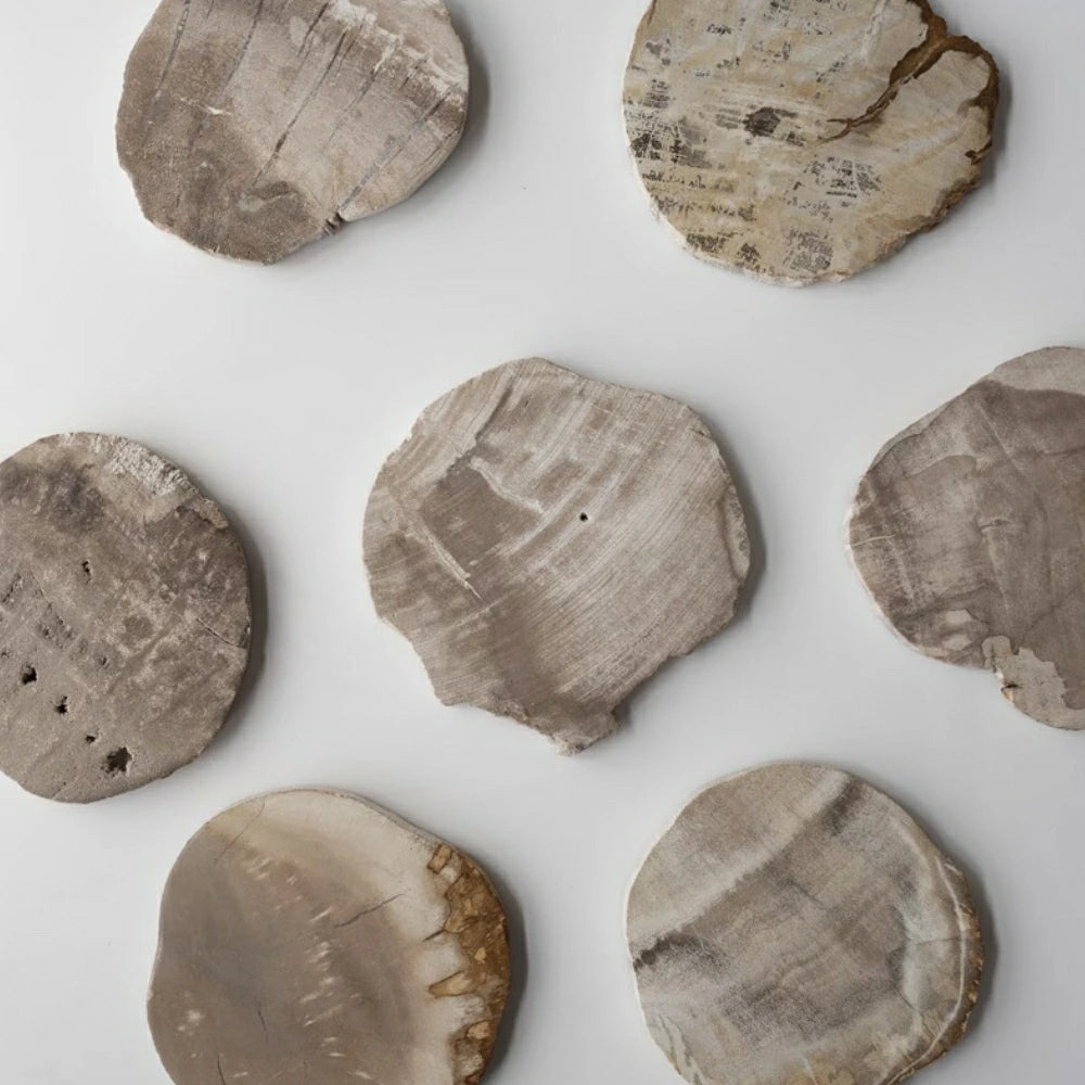 WOOD COASTER