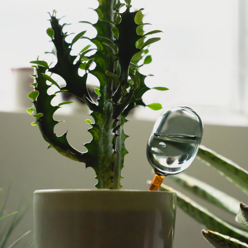 TWO TONE WATER DISPENSER（S）